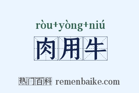 肉用牛是什么意思的图片
